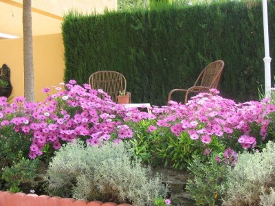 normal_jardin%20delantero%20013.jpg