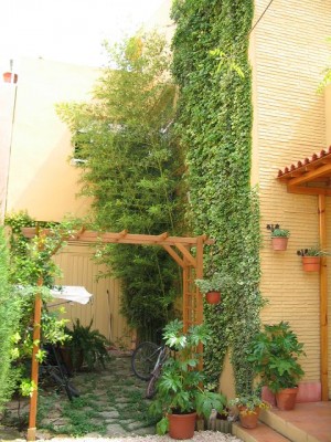 normal_jardin%20delantero%20016.jpg