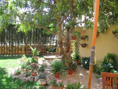 normal_jardin%20trasero%20013.jpg
