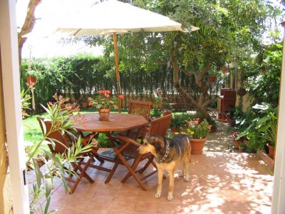normal_jardin%20trasero%20015.jpg