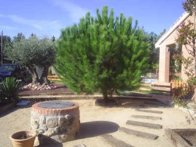 normal_jardin%20y%20claudia%202005%20014.jpg