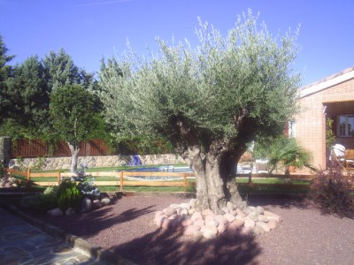 normal_jardin%20y%20claudia%202005%20016.jpg