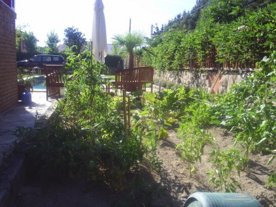 normal_jardin%20y%20claudia%202005%20027.jpg