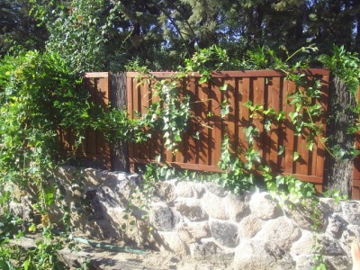 normal_jardin%20y%20claudia%202005%20028.jpg