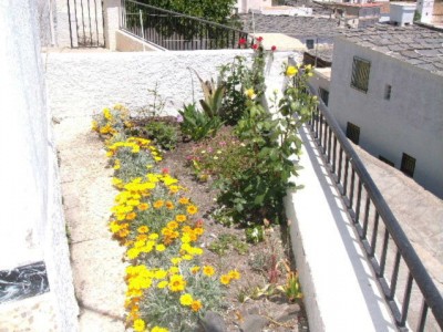 normal_jardin%7E0.JPG