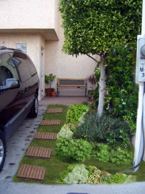 normal_jardin0.jpg