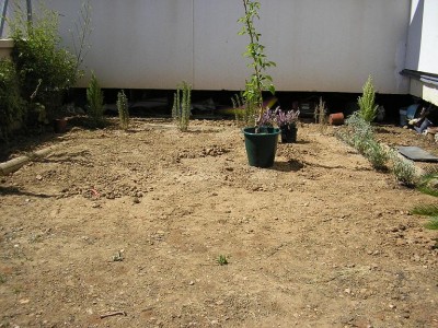 normal_JARDIN1%20106biss.JPG