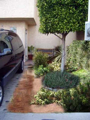 normal_jardin1%7E2.jpg