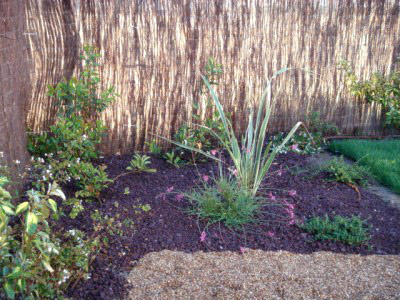 normal_jardin3%2520011.jpg