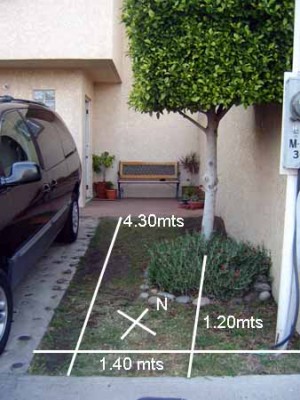 normal_jardin3%7E1.jpg