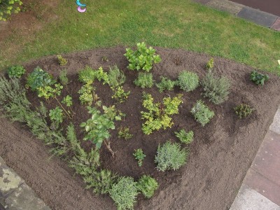 normal_jardin3.JPG