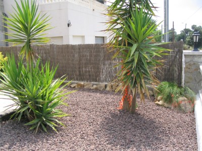 normal_jardin_4.jpg