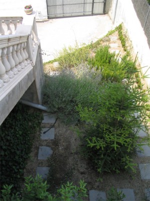 normal_jardin_7.jpg
