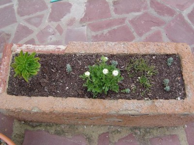 normal_jardinera%20malas%20hierbas%203.JPG