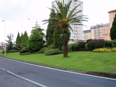 normal_jardines%20025.jpg