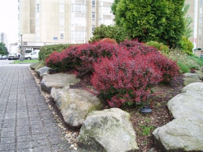 normal_jardines%20049.jpg