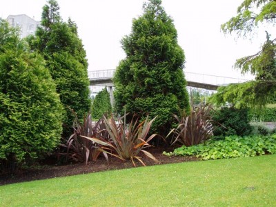 normal_jardines%20062.jpg