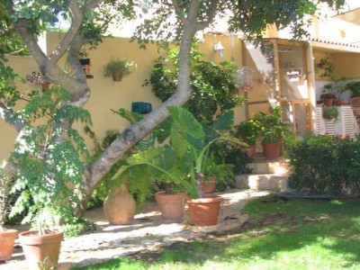 normal_jardintrasero2.JPG