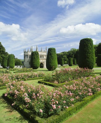 normal_lanhydrockroseborders.jpg