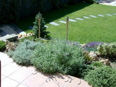 normal_lavanda_santolina.JPG