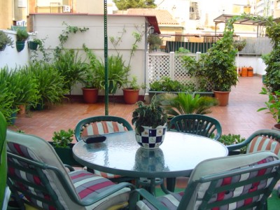 normal_Mi%20querido%20patio%20005.jpg