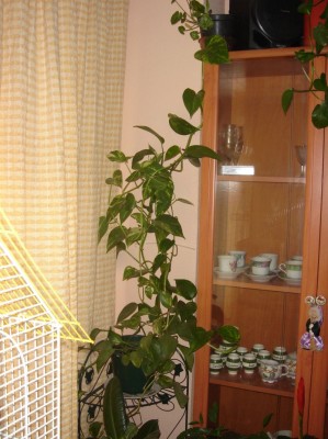 normal_mueble%201.jpg