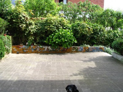 normal_muroazulejos.JPG
