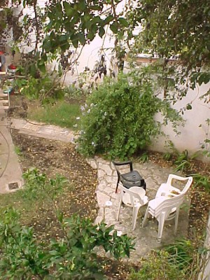 normal_mvc-307f.jpg