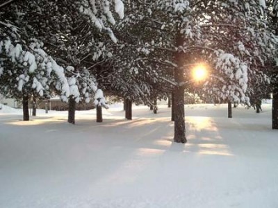 normal_natur117_febrero_04.jpg