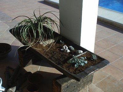 normal_novedad1.JPG