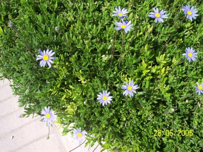 normal_P02.jpg