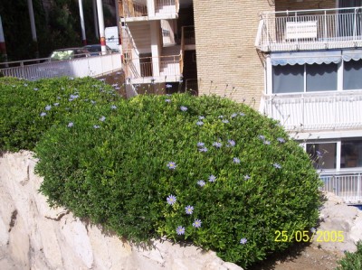 normal_P03.jpg