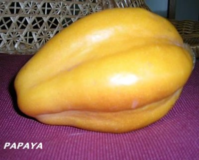 normal_pAPAYO%20MADURO%7E0.JPG