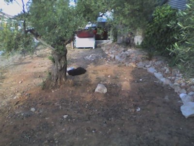 normal_Parcela%2017-5-05-2.jpg