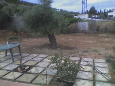 normal_Parcela%2031-5-05-1%7E0.jpg