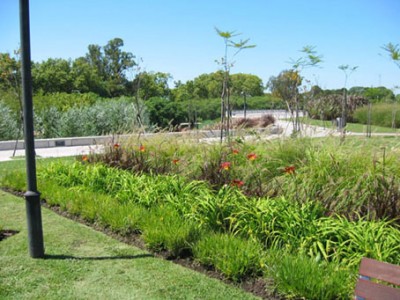 normal_parques%20021.jpg