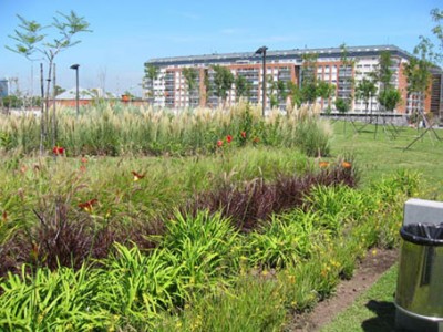 normal_parques%20022.jpg