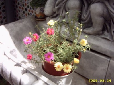 normal_patio%2022.jpg