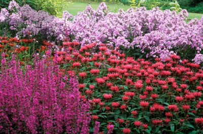 normal_pensthorpe4.jpg