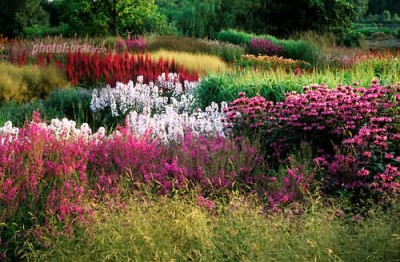 normal_pensthorpe7.jpe