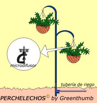normal_Perchelechos%20GT%20copia.jpg