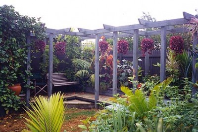 normal_pergola_after.jpg