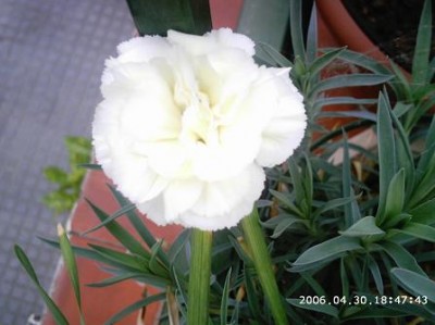 normal_PHOT0007.JPG