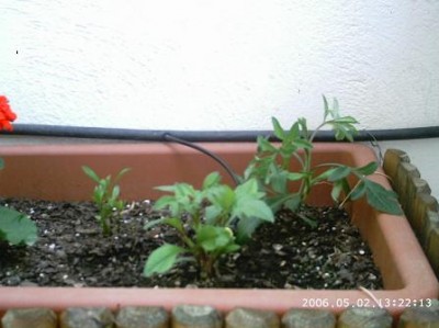 normal_PHOT0027.JPG