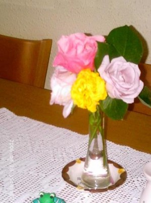 normal_PHOT0031.JPG