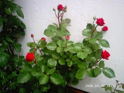 normal_PHOT0113.JPG