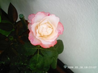 normal_PHOT0136.JPG