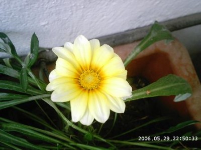 normal_PHOT0144.JPG