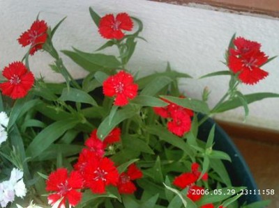 normal_PHOT0153.JPG
