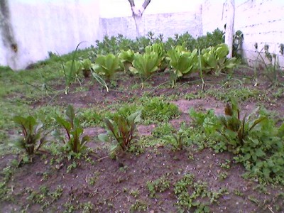 normal_Photo-0075.jpg